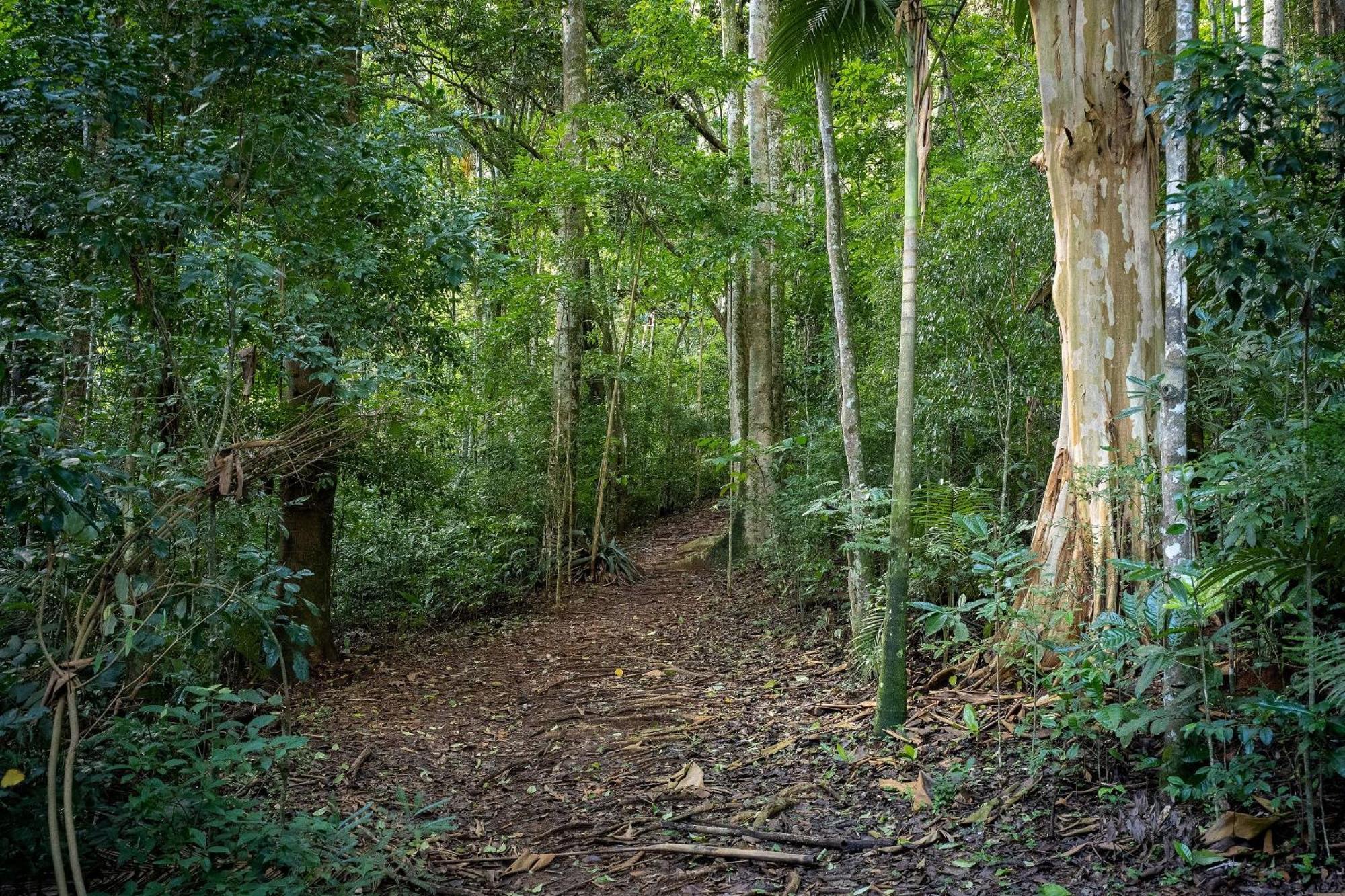 Studios De Luxo Granja Brasil Itaipava Petrópolis Exterior foto
